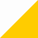 Biały/Złoty